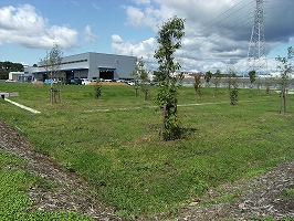 Eco-Eco Green Project4
