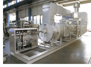 Deodorizing equipment with direct combustion system